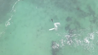 Surfing in Pebble beach