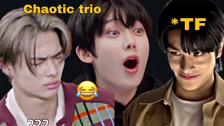 When Sunoo, Ni-ki and Jake are together Chaotic trio