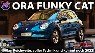 ORA FUNKY CAT - Mischt noch dieses Jahr den deutschen Markt auf!