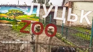 Луцьк Зоопарк (zoo 22 06 19)