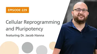 Cellular Reprogramming and Pluripotency featuring Dr. Jacob Hanna | The Stem Cell Podcast