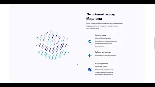 Понтовая монета.  Обзор монеты Marlin (POND)