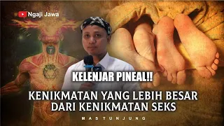 KELENJAR PINEAL, KENIKMATAN LEBIH BESAR DARI SEKS - MAS TUNJUNG