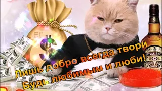 НИКОЛАЙ , С ДНЕМ РОЖДЕНИЯ! КРАСИВОЕ ПОЖЕЛАНИЕ!КРАСИВАЯ МУЗЫКАЛЬНАЯ ОТКРЫТКА.