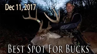 Best Spot for Bucks | Midwest Whitetail
