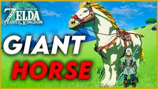 How to get Legendary Horse in Tears of the Kingdom (Giant White Stallion)