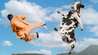 No Tenía Idea de que esta Vaca es una Legendaria Maestra de Kung Fu