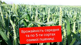 Результати врожайності 5-ти сортів озимої пшениці 2020.