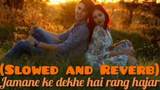 Jamane ke dekhe hai rang hajar (slowed & reverb) Anuradha Paudwal song ||Sadak||