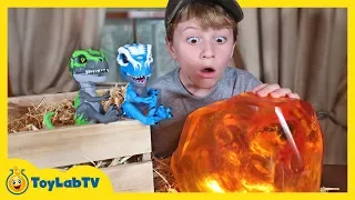 Giant Life Size Dinosaur vs UNTAMED T-Rex! Surprise Toy Dinosaurs & Showdown with Mystery Creature