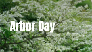 Native Trees for Arbor Day