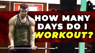 How Many Days Per Week I Workout To Maintain My Physique