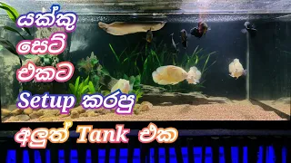 NEW  Oscar fish Tank setup..... #yanifishparadise #oscar #Tanksetup