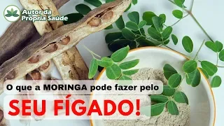 Tudo o que a MORINGA pode fazer pelo SEU FÍGADO!!