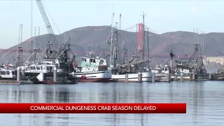 Dungeness crab season delayed