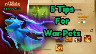 5 Tips For War Pets Call Of Dragons (War Pets, Skills, Synergies)