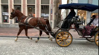 Paard en wagen in Brugge