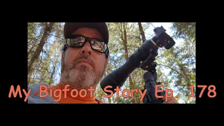 My Bigfoot Story Ep. 178 - Screaming Jays & More Knocking