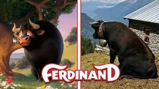 FERDINAND in Real Life NEW!