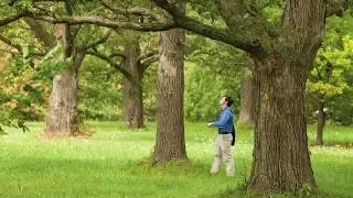 The Future of Trees: Hope in a Changing Climate