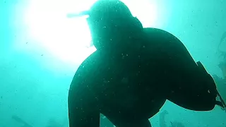 spearfishing and freediving around cape town