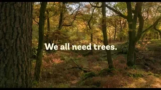 Let’s stand up for trees: become a partner of the Woodland Trust.