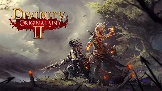 Divinity: Original Sin 2 | Чё пацаны исток?