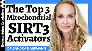 3 WAYS To Save Our Mitochondria & TOP 3 Natural SIRT3 Activators | Dr Sandra Kaufmann Interview Clip
