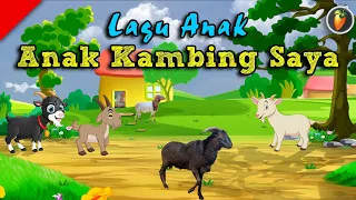 Anak Kambing Saya - Kak Hadi