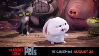 He’s cute… but crazy. Kevin Hart is Snowball. #TheSecretLifeOfPets