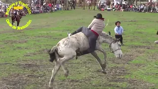 Ganadores festival Uniendo Amistades 2002 #caballos #jinete #charreada #jaripeo #rodeo#Cowboy