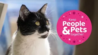 Mittens Cutting | PDSA Pet Patient | Winter Appeal 2023