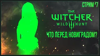 Прохождение The Witcher 3: Wild Hunt (2022) — ЧТО ПЕРЕД НОВИГРАДОМ? | #7