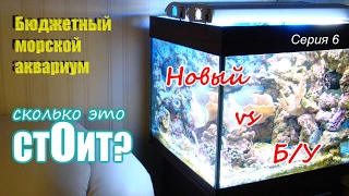 Сколько стоит морской аквариум? Бюджетный морской аквариум.6 Серия