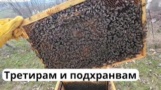 ТРЕТИРАМ И ПОДХРАНВАМ #varoa #bee