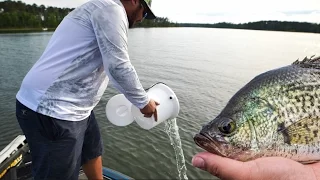 Catch n Cook Crappie Fishing Challenge - Cheating with Secret Bait!
