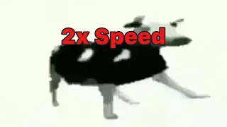 Polish Cow at 2x speed