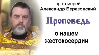 Проповедь о нашем жестокосердии (2023.07.23). Протоиерей Александр Березовский