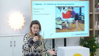 Периоды родов