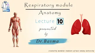 10- Respiratory (Esophagus) Dr.Basma Anatomy