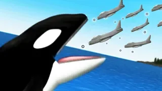 KILLER WHALE vs FIGHTER JETS - Tasty Planet Forever | Pungence