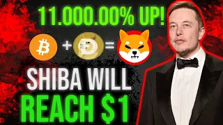 DEVELOPER SHIBA INU TOLD HOW SHIBA WILL REACH $1