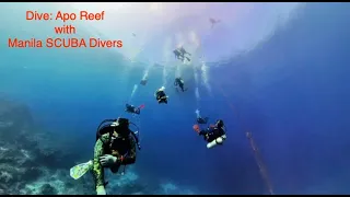 Dive: Apo Reef Overland Adventure