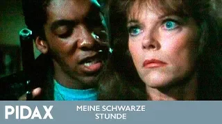 Pidax - Meine schwarze Stunde (1981/2, TV-Serie)