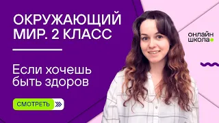 Если хочешь быть здоров. Видеоурок 20. Окружающий мир 2 класс