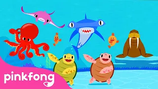 Bergerak Seperti Binatang Laut | Series Binatang Laut | Lagu Anak pendidikan | Pinkfong & Baby Shark