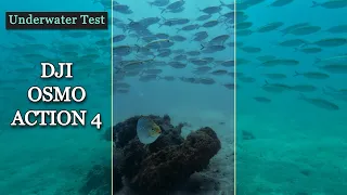 DJI Osmo Action 4 | Underwater Test | Impressions