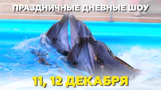Дельфинарий Минск День Рождения