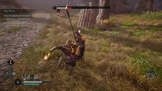 Assassins Creed Valhalla 1v1