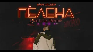 IVAN VALEEV - Пелена (Martinz Remix) NEW 2022